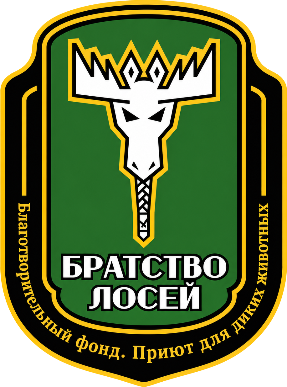 Герб фонда «Братство лосей»